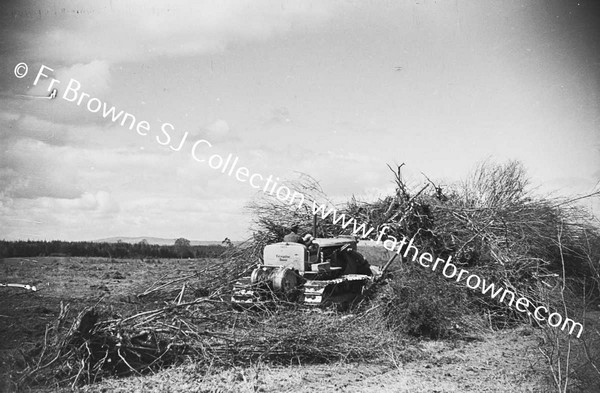 BULLDOZER  CLEARING SCRUB AND TREES  NEAR LAKE